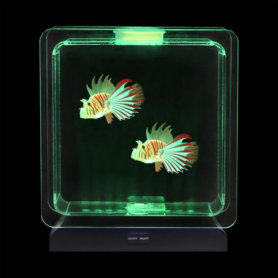 Akvarium s rybickami 1