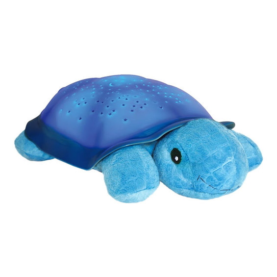 Hviezdna korytnačka - Modrá