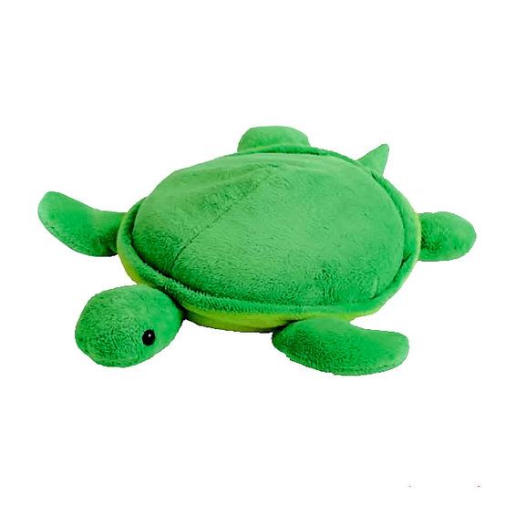 Záťažová korytnačka