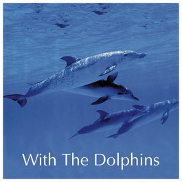 CD Cesta delfína