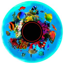 Obrázkový kotúč - Tropické ryby