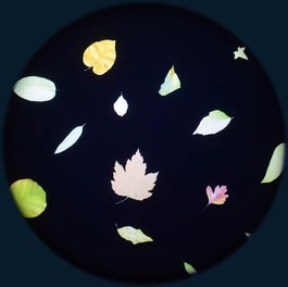Obrázkový kotouč - Podzim